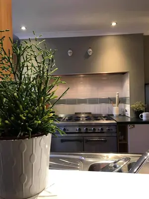 a kitchen with a pot with a plant in it at Vollie House with Hot Tub, Sauna & Log Burner in Penpont
