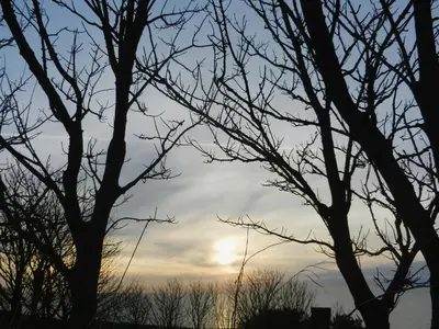 a cloudy sky with trees in the foreground at The Byres Tan in St Bees