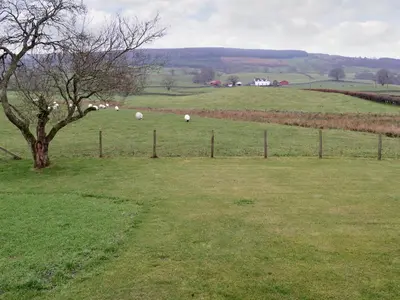 a herd of sheep grazing in a field with a fence at Beuchan Bungalow in Closeburn