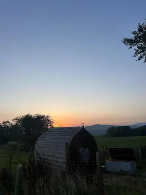a cat sitting inside a yurt with the sunset in the background at Galloway View in Castle Douglas