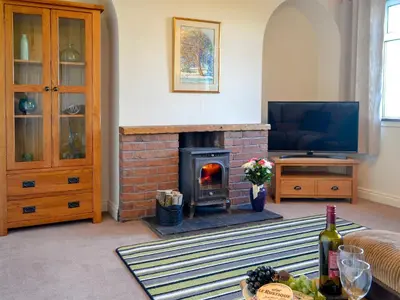 a living room with a fireplace and a television at Butterhole Cottage in Kelton