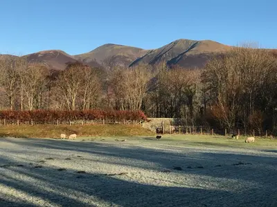 a group of sheep grazing in a field with mountains in the background at Winchester House in Keswick