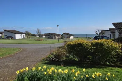 a street with yellow daffodils in a residential neighborhood at 11 Laigh Isle in Isle of Whithorn