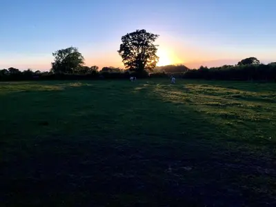 a sunset in a field with a tree in a field at The Nook Cottage in Carlisle