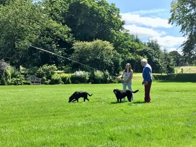 a man and a woman standing in a field with two dogs at No 1 Ramageton at Carnell Estates in Hurlford