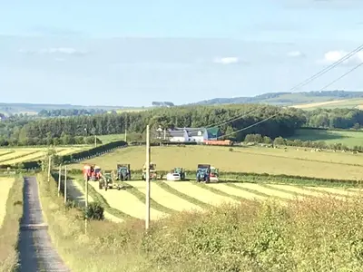 a field with horses and vehicles on the side of a road at No 1 Ramageton at Carnell Estates in Hurlford