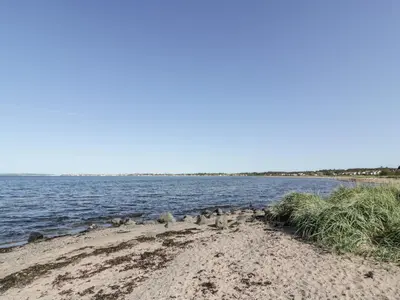 a flock of birds standing on the shore of a body of water at Bright and Beautiful in Ayr