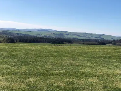 a field of green grass with cows in the distance at The Annex, countryside escape in Dumfries