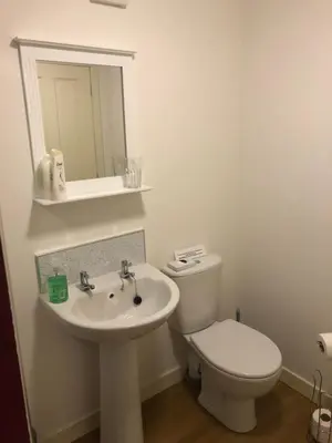 a bathroom with a toilet and a sink and a mirror at The Annex, countryside escape in Dumfries