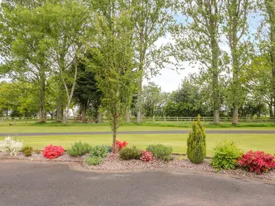 a park with a bunch of flowers and trees at Berrymoor Cottage in Brampton