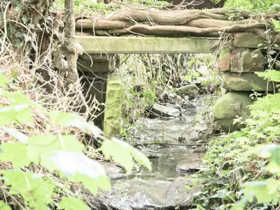 a bridge over a stream in a forest at The Brewers Cottage in Mauchline