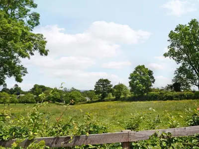 a field with a fence and trees in the background at Pheasant Cottage - Ukc3428 in Dalston