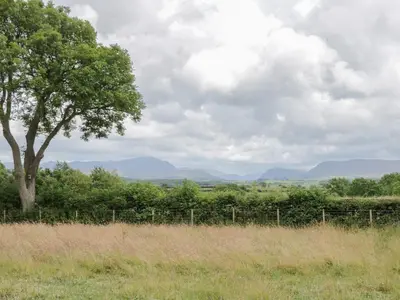 a tree in a field next to a fence at The Barn in Workington