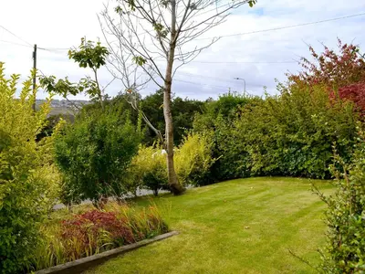 a garden with a green lawn and a tree at Kingswood in Whitehaven