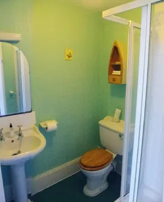 a bathroom with a toilet and a sink at The Old Rectory in Annan