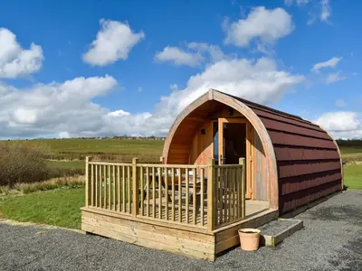 a small wooden building with a dog in it at Manx View-Uk1396 in Corney