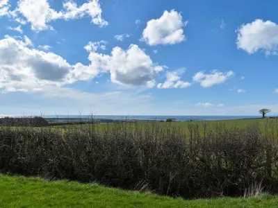 a field with a tree and a sky with clouds at Selker View-Uk1397 in Corney