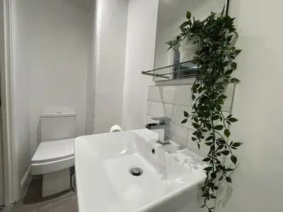 a bathroom with a white sink with a plant on the wall at Fellseeker in Keswick