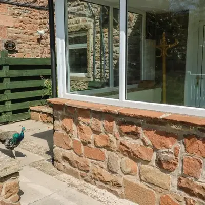 Mousehole Cottage