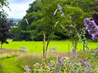 two benches in a grassy field with purple flowers at Geltsdale Garden Apartment ground floor home in Wetheral close to Carlisle & Ullswater in Wetheral