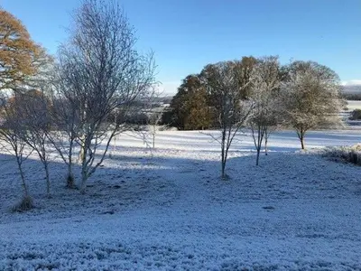 a field covered in snow with trees in it at Geltsdale Garden Apartment ground floor home in Wetheral close to Carlisle & Ullswater in Wetheral