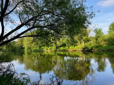 a river with a tree hanging over the water at Geltsdale Garden Apartment ground floor home in Wetheral close to Carlisle & Ullswater in Wetheral