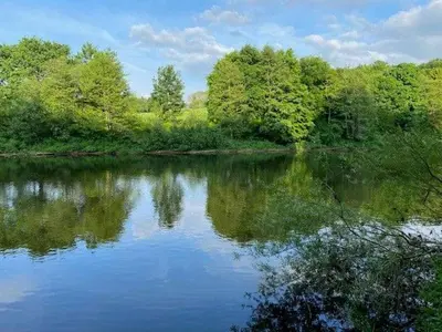 a view of a river with trees in the background at Geltsdale East Wing sleeps 6 with River Eden views near Carlisle & Ullswater in Wetheral