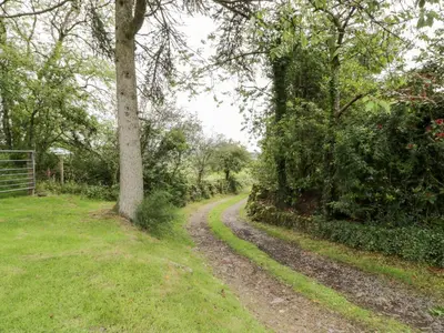 a dirt road next to a tree in a field at The Barn in Dalbeattie