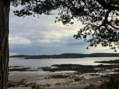 a view of a body of water with a tree at The Barn in Dalbeattie