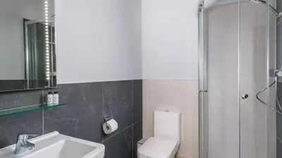a bathroom with a toilet and a sink and a shower at Keswick Lake Road Apartments in Keswick