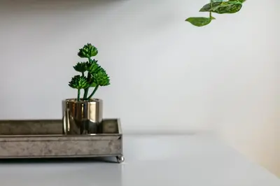 a potted plant in a metal container on a counter at Elliot Suite No7 - Donnini Apartments in Ayr