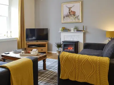 a living room with two couches and a fireplace at Buckle House in Gatehouse of Fleet