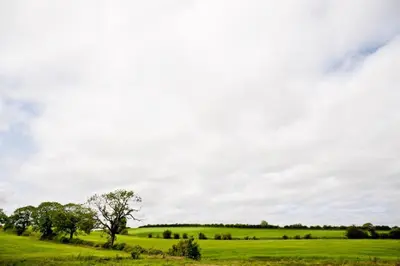 a green field with trees and a cloudy sky at Bamflatt Farm Bed & Breakfast in Strathaven