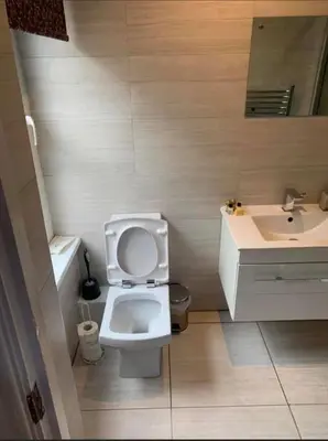a bathroom with a white toilet and a sink at DOVENBY SHIP in Tallentire