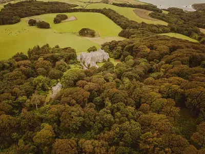 an aerial view of a golf course in the forest at Wild Geese Lodge - Uk31046 in Portpatrick