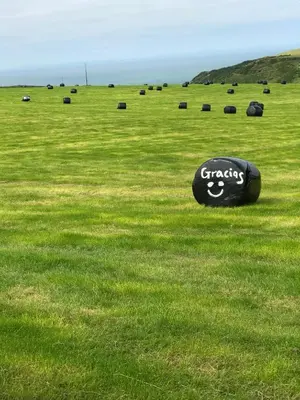 a field of green grass with a sign that says craigs at Bunnahabhain 5 - Farm Stay - Stunning sea and rural views in Stranraer