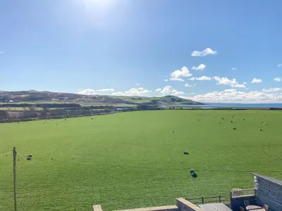 a large green field with sheep grazing in it at Ardstinchar Mews in Ballantrae