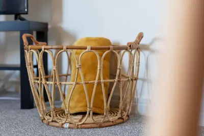 a stuffed animal in a basket on the floor at Walker Suite No82 - Donnini Apartments in Kilmarnock