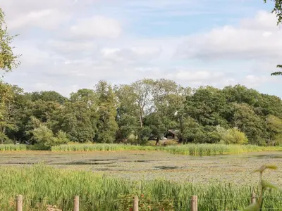 an open field with trees in the background at Simply Suite in Castle Douglas