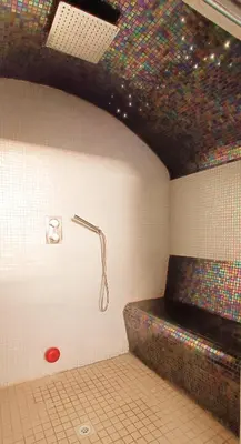 a room with a bed with a shower in it at Golden Crown exclusive use spa venue in Tarbolton