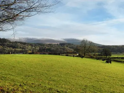 a field of green grass with cows in the distance at West Lodge - Uk7137 in Newton Stewart