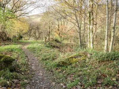a dirt road in a wooded area with trees at Kiln How in Keswick