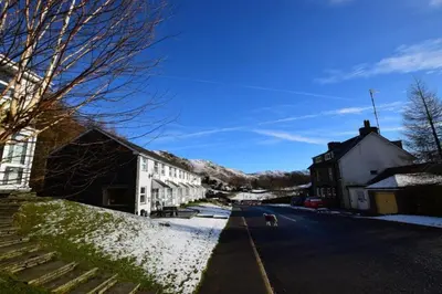 a dog walking down a street with snow on the ground at 12 Thrang Brow, Chapel Stile in Chapel Stile
