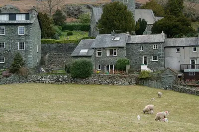 a group of sheep grazing in a field in front of a house at Church Bank in Chapel Stile