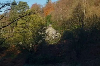an old house in the middle of a forest at Woodland Crag Cottage, Grasmere in Grasmere