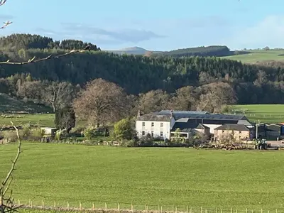 a white house in the middle of a green field at Cottage at Inch Farm solitude beside the River in Longtown