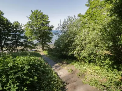 a path through the trees next to the water at South Segganwell - Culzean Castle in Maybole