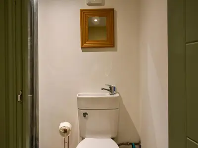 a bathroom with a toilet with a mirror on the wall at Danika East in Threlkeld