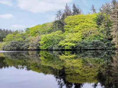 a body of water with trees in the background at Fern Forest House- Uk31047 in Portpatrick