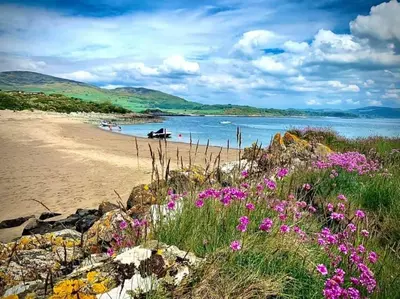 a beach with flowers and a boat in the water at Stunning Period Townhouse with Garden, Walking Distance to Town in Dumfries
